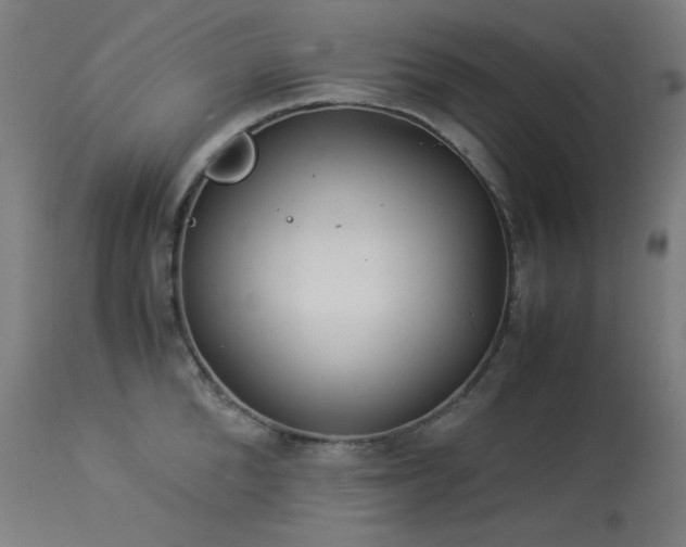 X0000114170904200910081519
