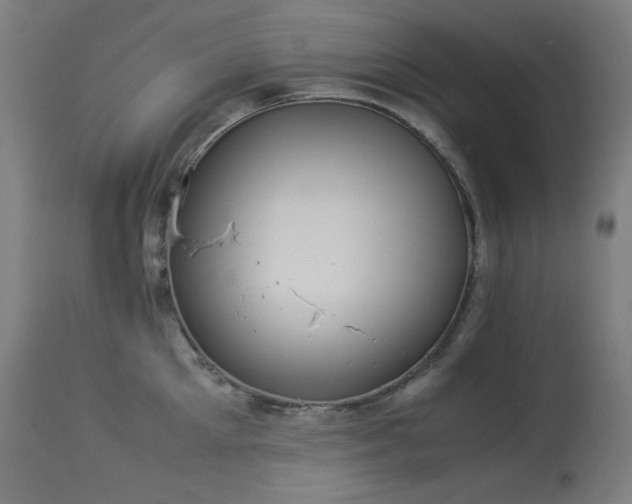 X0000114170905200910081519
