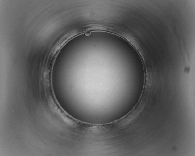 X0000114170906200910081519