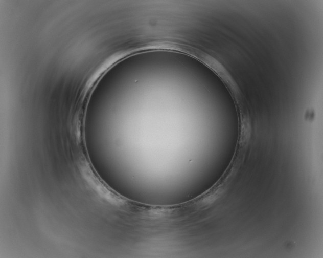 X0000114170908200910081519