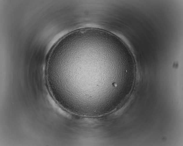 X0000114170910200910081519