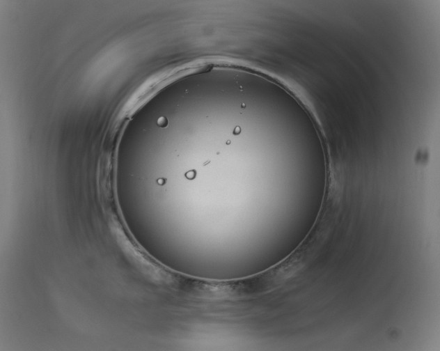 X0000114170911200910081519