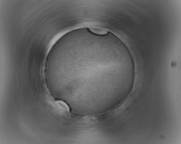 X0000114170912200910081519