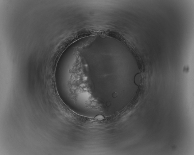 X0000114170913200910081518