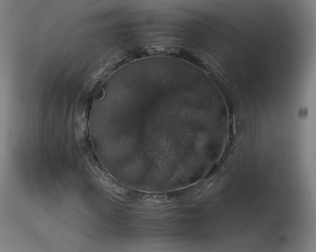 X0000114170915200910081518