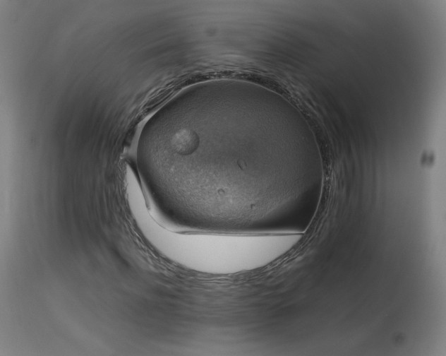 X0000114170916200910081518