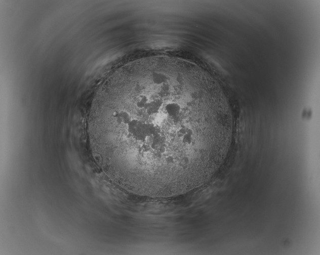 X0000114170917200910081518