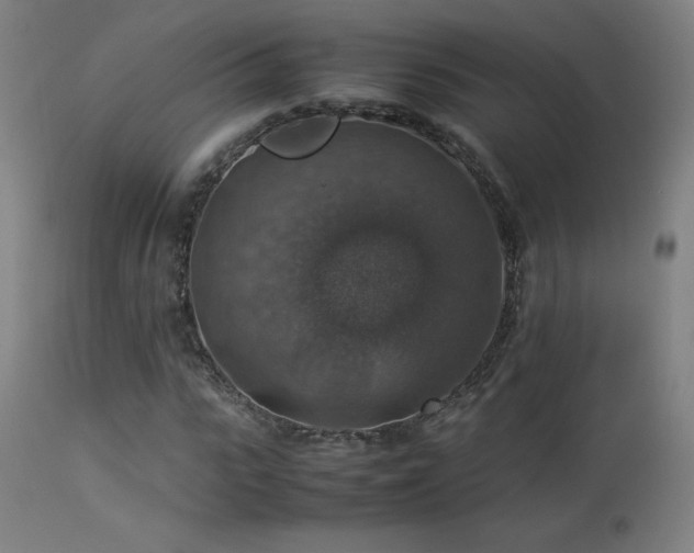 X0000114170919200910081519
