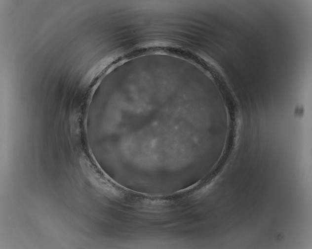 X0000114170921200910081519