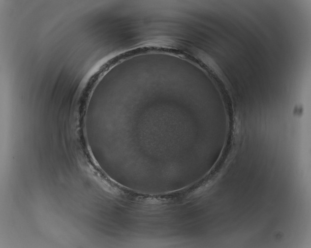 X0000114170923200910081519
