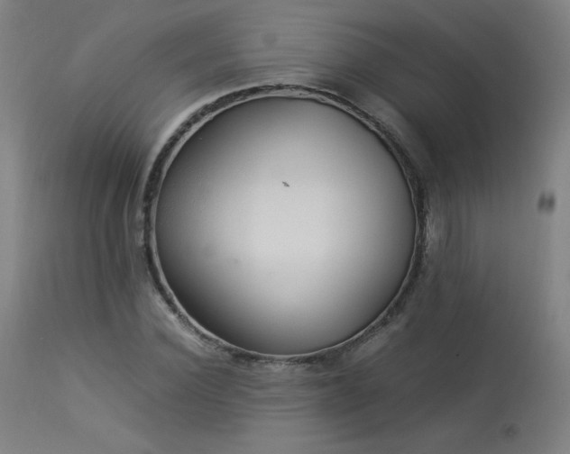 X0000114170924200910081519