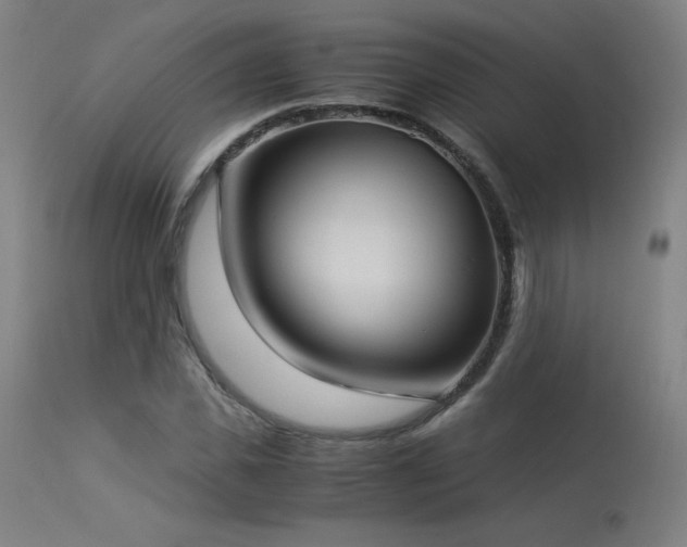 X0000114170925200910081519