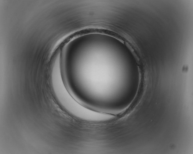 X0000114170926200910081519