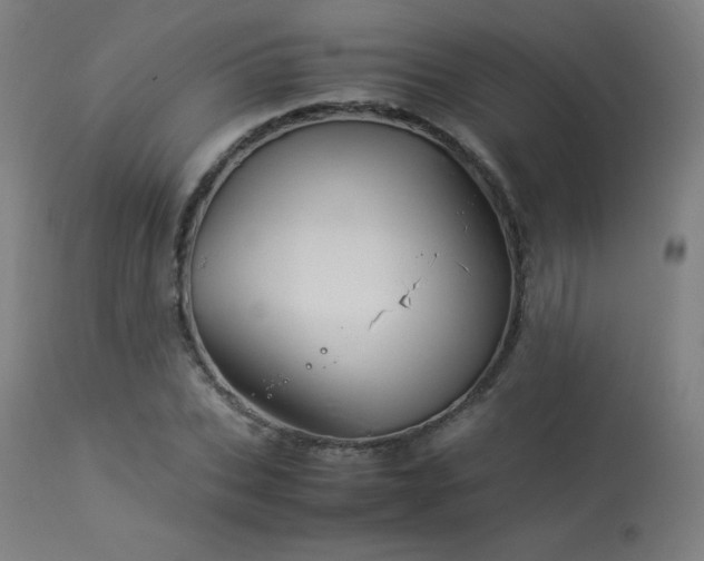 X0000114170927200910081519
