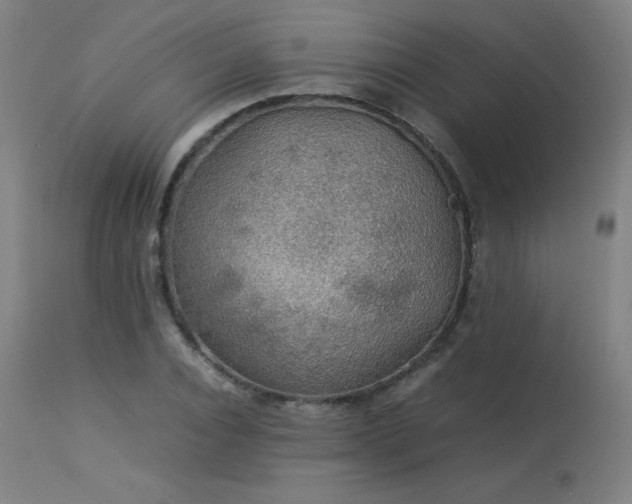 X0000114170928200910081519