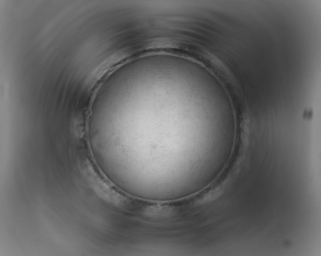 X0000114170929200910081519
