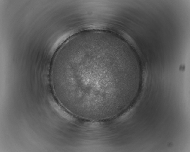 X0000114170930200910081519