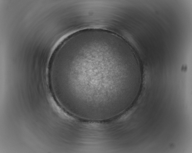 X0000114170932200910081519