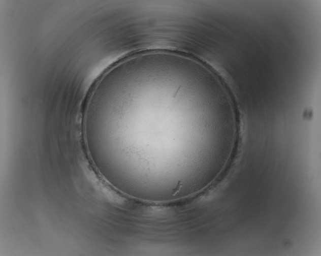 X0000114170933200910081519