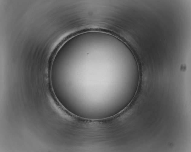X0000114170934200910081519