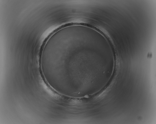 X0000114170935200910081519
