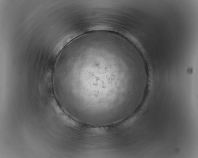 X0000114170937200910081519