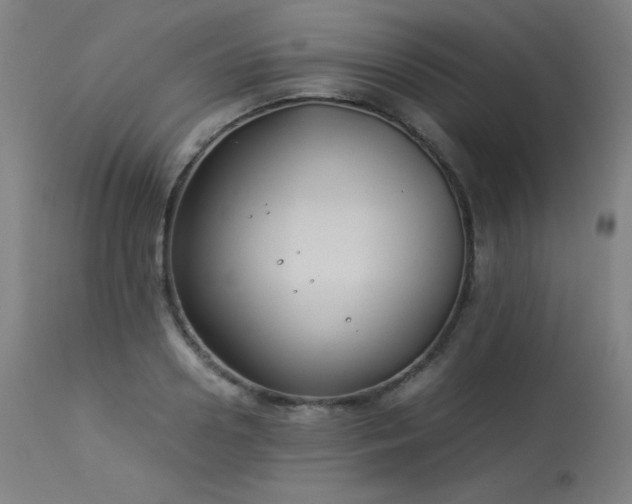 X0000114170938200910081519