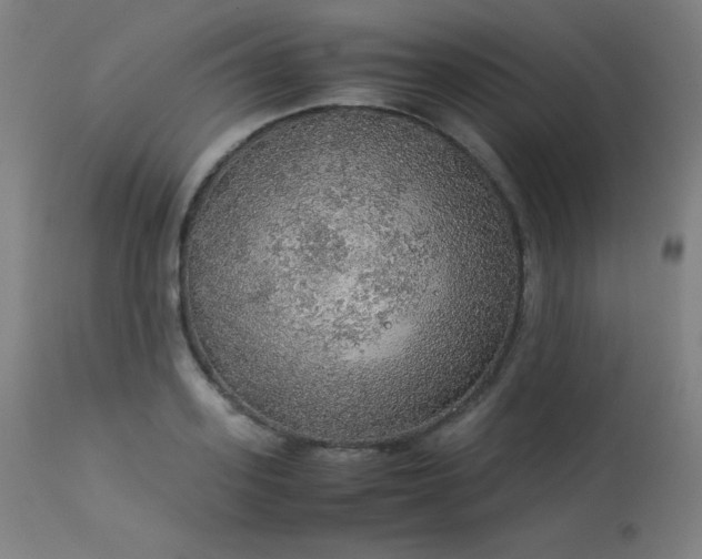 X0000114170939200910081519
