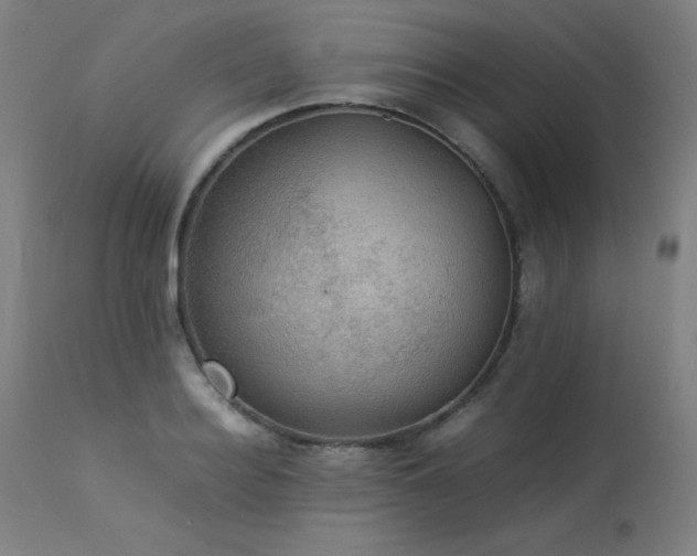 X0000114170940200910081519