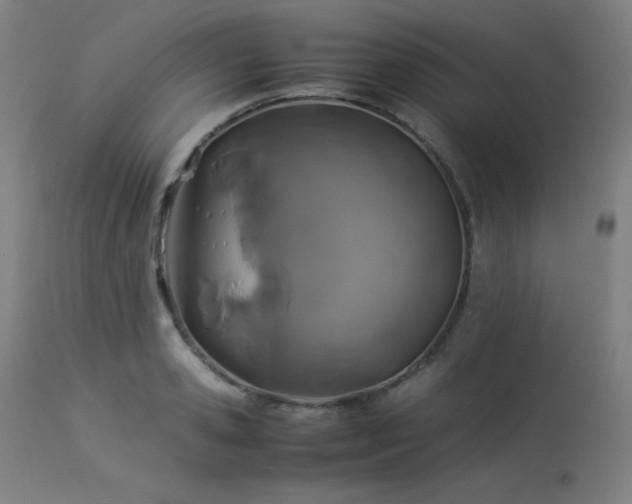 X0000114170941200910081519