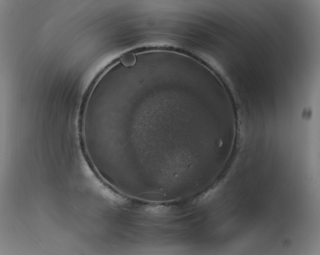 X0000114170943200910081519
