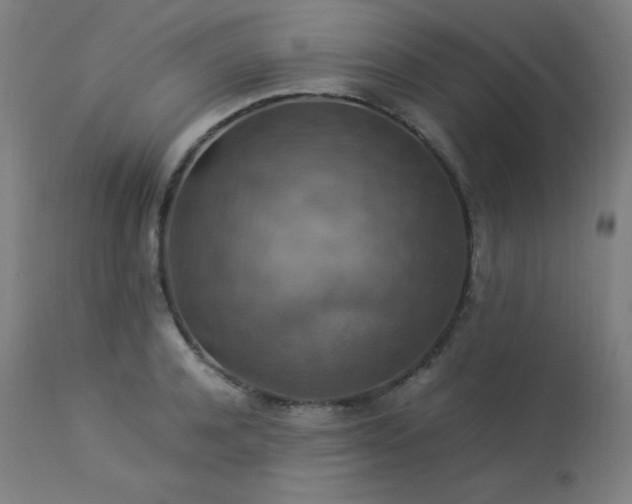 X0000114170944200910081519