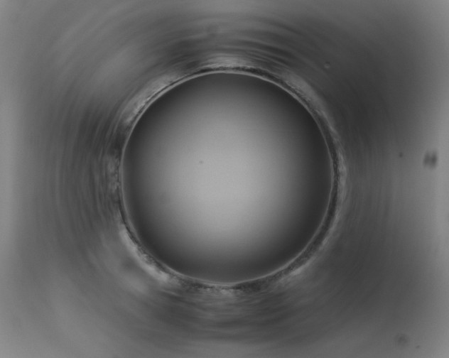X0000114170945200910081519