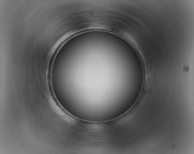 X0000114170947200910081519