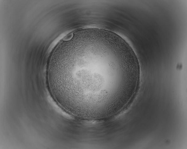 X0000114170949200910081519