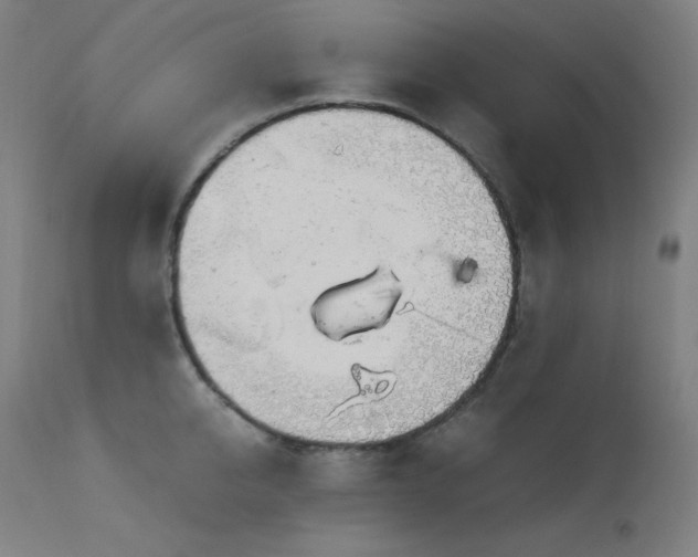 X0000114170950200910081519