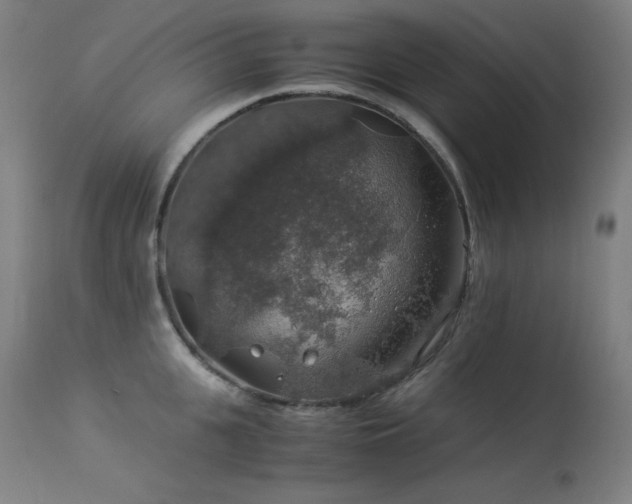 X0000114170951200910081519