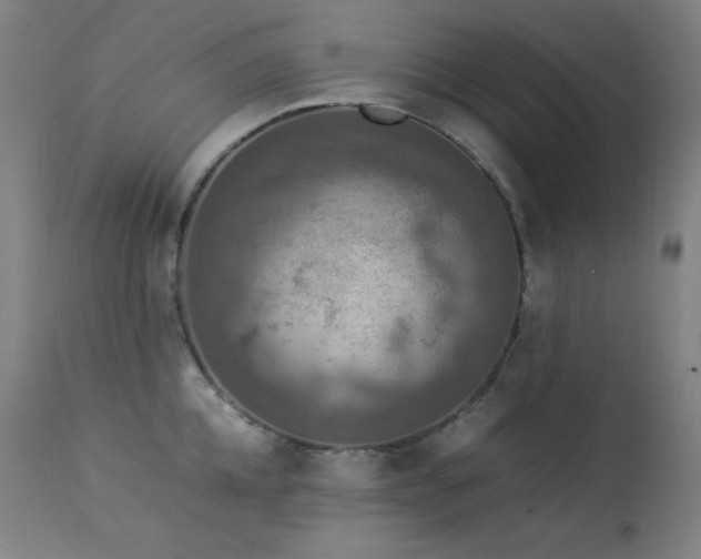 X0000114170952200910081519