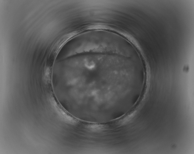 X0000114170953200910081519