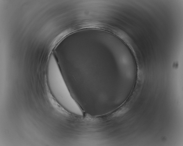 X0000114170954200910081519