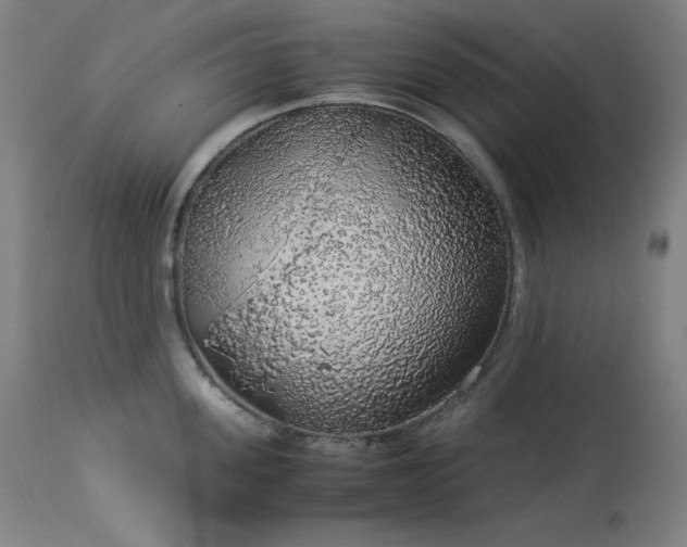 X0000114170955200910081519