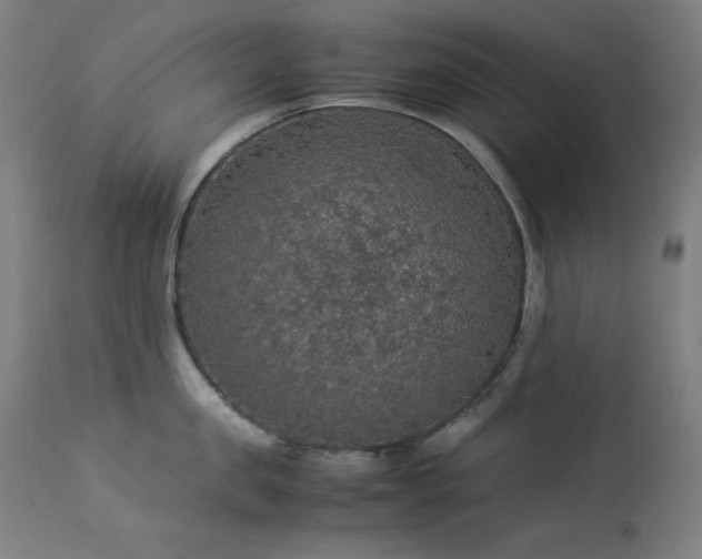 X0000114170957200910081519