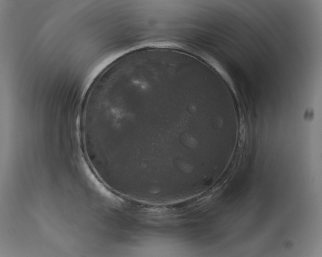 X0000114170959200910081519
