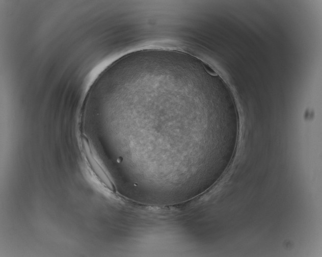 X0000114170960200910081519