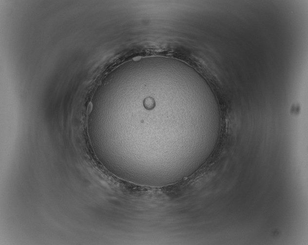 X0000114170961200910081518