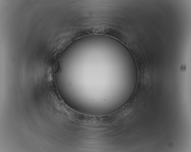 X0000114170962200910081518