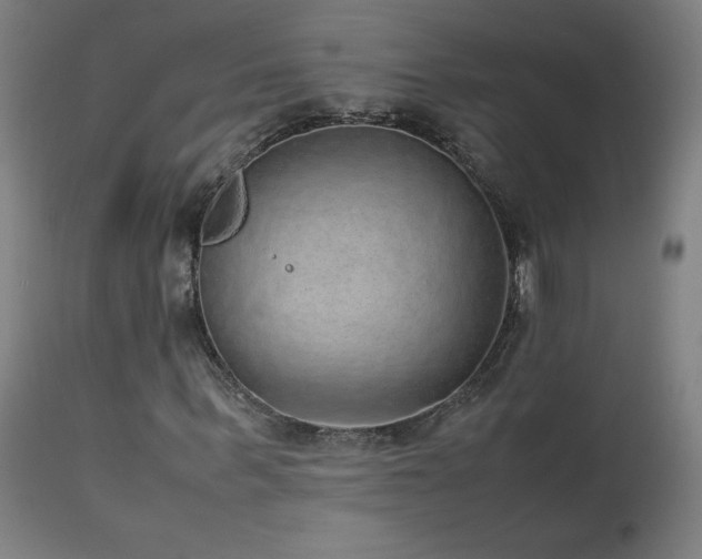 X0000114170963200910081518
