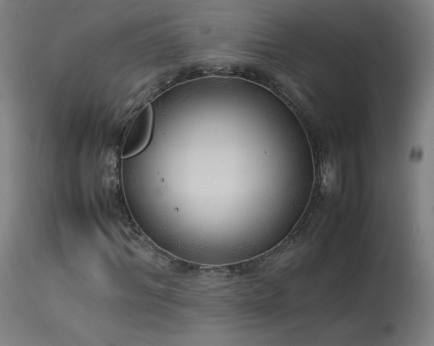 X0000114170964200910081518