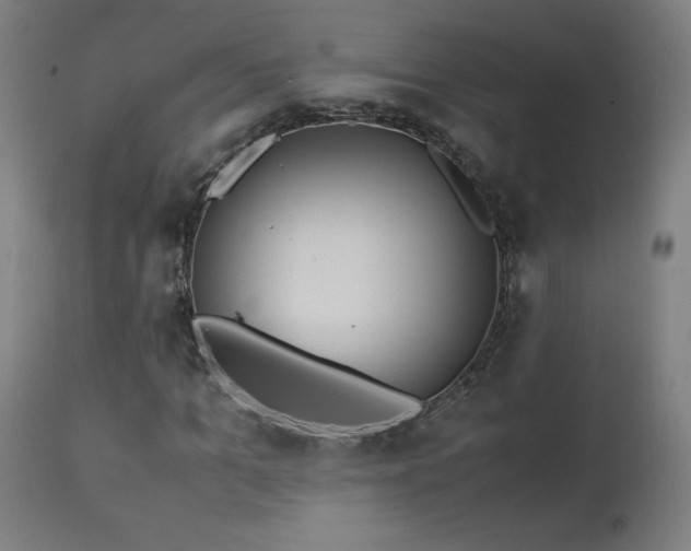 X0000114170965200910081518