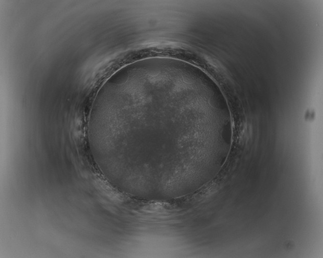 X0000114170966200910081518